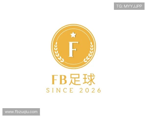介绍FB足球